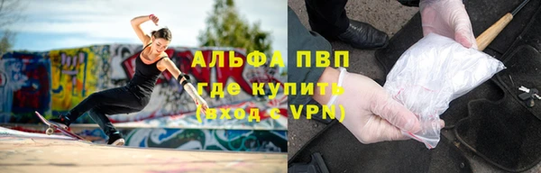 крисы Горняк